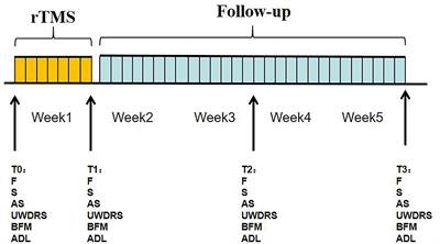 Effects of High-Frequency Repetitive Transcranial Magnetic Stimulation on Upper Limb Dystonia in Patients With Wilson's Disease: A Randomized Controlled Trial